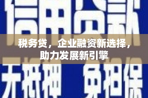 敦煌税务贷，企业融资新选择，助力发展新引擎