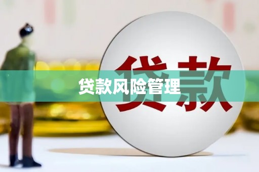 敦煌贷款风险管理
