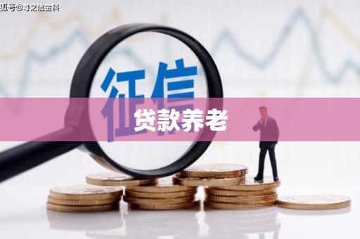 敦煌贷款养老