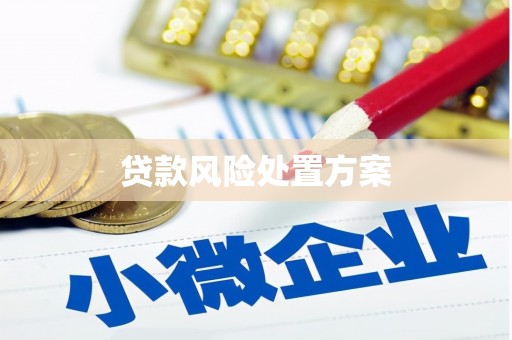 敦煌贷款风险处置方案