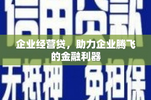 敦煌企业经营贷，助力企业腾飞的金融利器