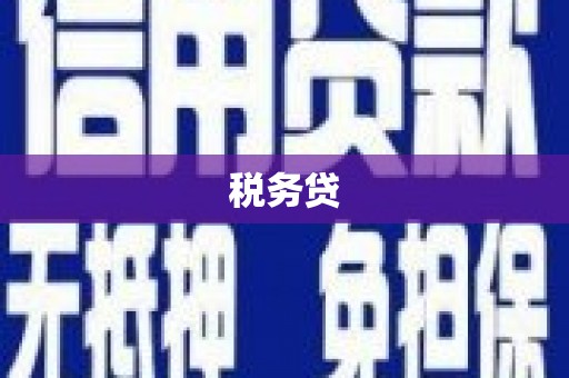 敦煌税务贷