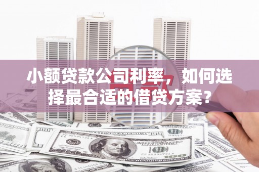 敦煌小额贷款公司利率，如何选择最合适的借贷方案？