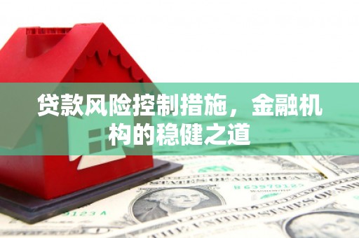 敦煌贷款风险控制措施，金融机构的稳健之道