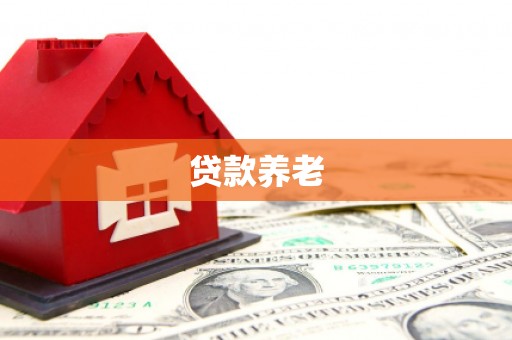 敦煌贷款养老