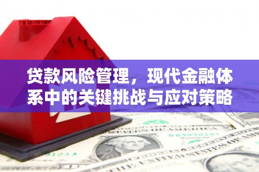 敦煌贷款风险管理，现代金融体系中的关键挑战与应对策略